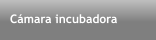 Cmara incubadora